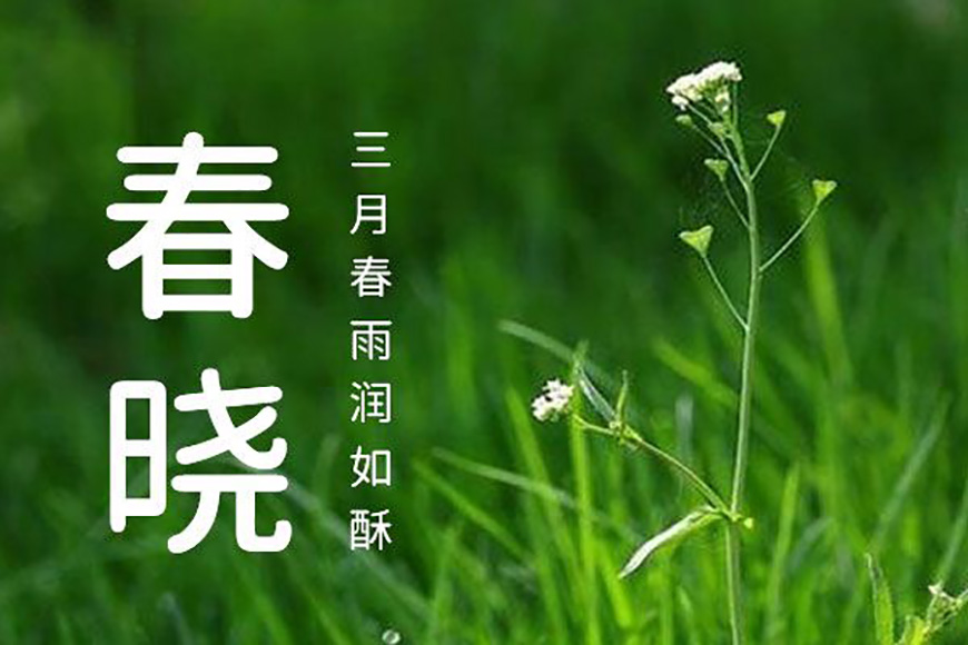 77款免费可商用字体大合集（打包下载）